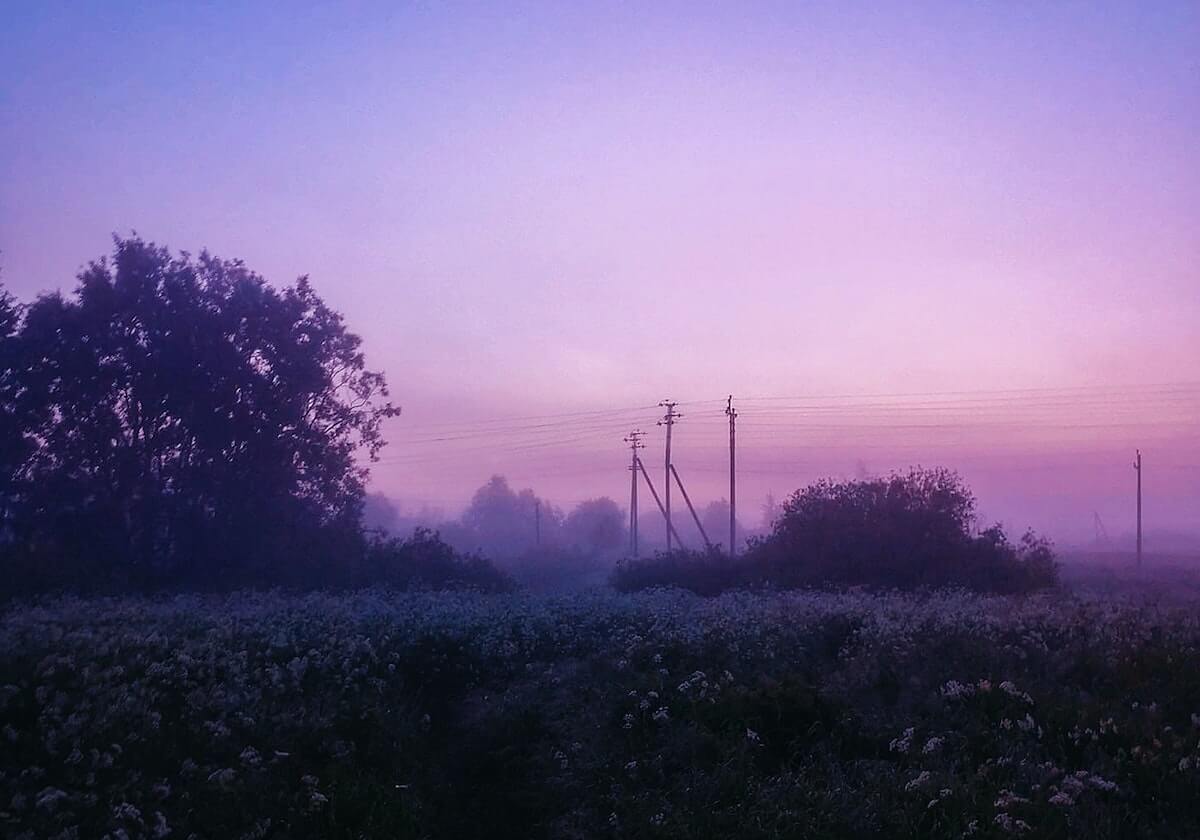 乐鱼在线开户平台:开启安全高效的一站式开户新体验